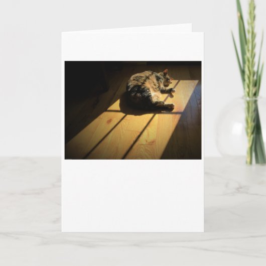 Langsame Tage, Karte (Vorderseite)