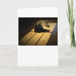 Langsame Tage, Karte