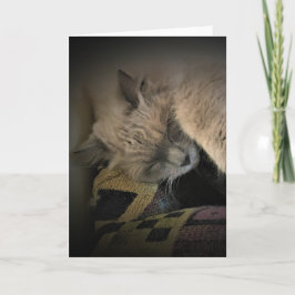 Langsame Tage, Karte