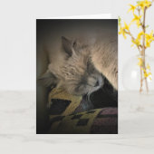 Langsame Tage, Karte (Gelbe Blume)