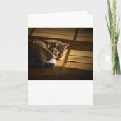 Langsame Tage, Karte (Vorderseite)