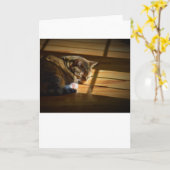 Langsame Tage, Karte (Gelbe Blume)