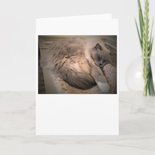 Langsame Tage, Karte (Vorderseite)