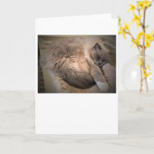 Langsame Tage, Karte (Gelbe Blume)