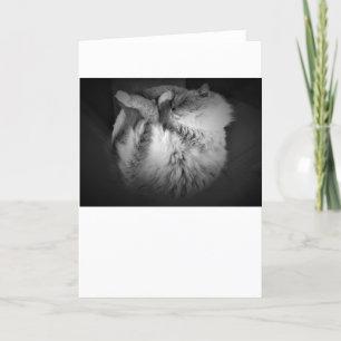 Langsame Tage, Karte