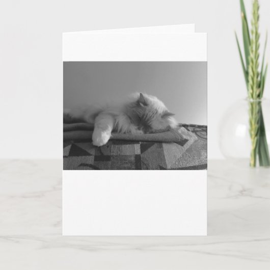 Langsame Tage, Karte (Vorderseite)