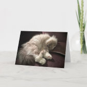 Langsame Tage, Karte (Vorderseite)