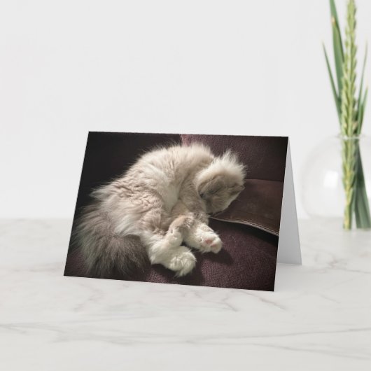 Langsame Tage, Karte (Vorderseite)