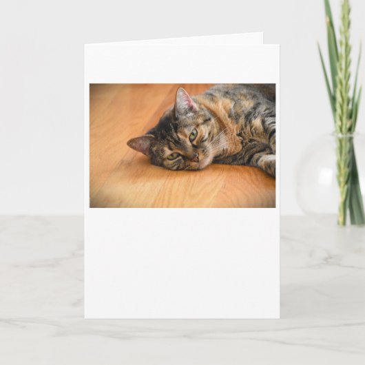 Langsame Tage, Karte (Vorderseite)