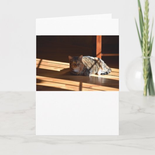 Langsame Tage, Karte (Vorderseite)