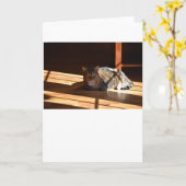 Langsame Tage, Karte (Gelbe Blume)