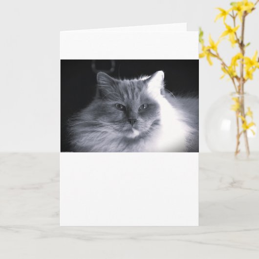 Langsame Tage, Karte (Gelbe Blume)