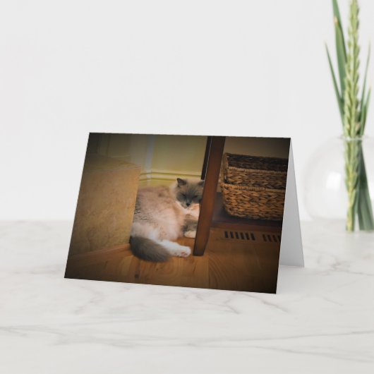 Langsame Tage, Karte (Vorderseite)