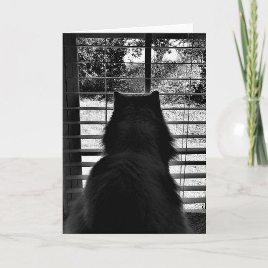 Langsame Tage, Karte (Vorderseite)