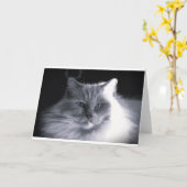 Langsame Tage, Karte (Gelbe Blume)