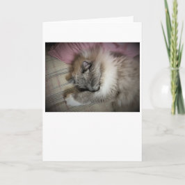 Langsame Tage, Karte