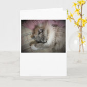 Langsame Tage, Karte (Gelbe Blume)