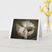 Langsame Tage, Karte (Gelbe Blume)