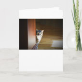 Langsame Tage, Karte (Vorderseite)