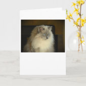 Langsame Tage, Karte (Gelbe Blume)