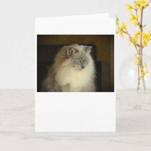 Langsame Tage, Karte (Gelbe Blume)