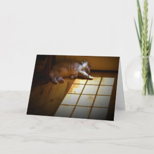 Langsame Tage, Karte