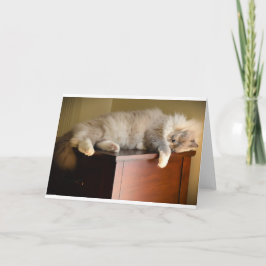 Langsame Tage, Karte