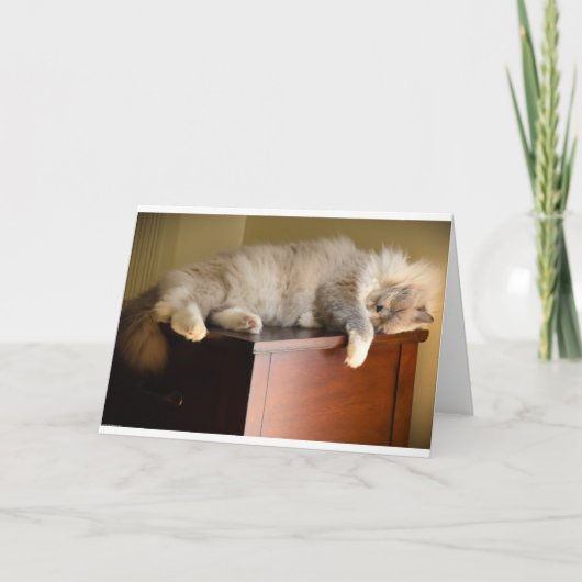 Langsame Tage, Karte (Vorderseite)