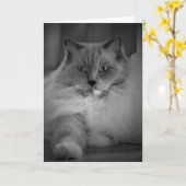 Langsame Tage, Karte (Gelbe Blume)