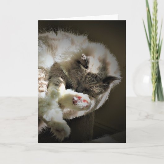 Langsame Tage, Karte (Vorderseite)