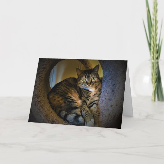 Langsame Tage, Karte (Vorderseite)