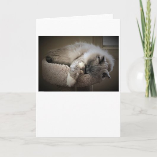 Langsame Tage, Karte (Vorderseite)