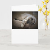 Langsame Tage, Karte (Gelbe Blume)