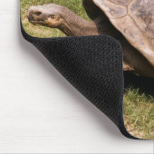 Langsame und stabile Schildkröte-Mausunterlage Mousepad (Ecke)