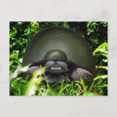 Langsames Kommando Postkarte (Vorderseite)