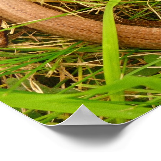 Langsames Worm-Poster Poster (Ecke)