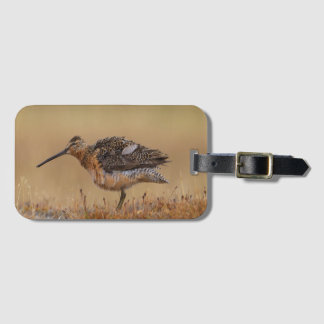 Langschnabel-Dowitcher Gepäckanhänger