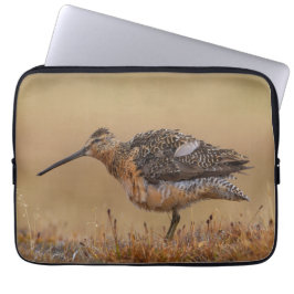 Langschnabel-Dowitcher Laptopschutzhülle