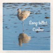 Langschnabel Glasuntersetzer (Vorderseite)