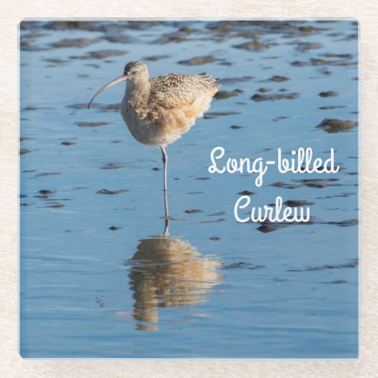 Langschnabel Glasuntersetzer (Vorderseite)