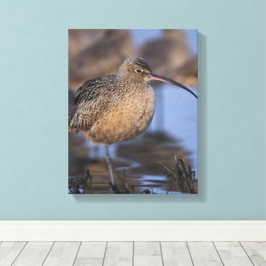 Langschnabel Leinwanddruck (Insitu (Holzboden))