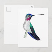 Langschnabel-Stirnbandkolibri Postkarte (Vorne/Hinten)