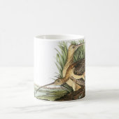 Langschnabel von Audubon Kaffeetasse (Mittel)