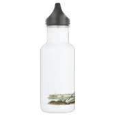 Langschnabel von Audubon Trinkflasche (Links)