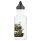 Langschnabel von Audubon Trinkflasche (Rechts)