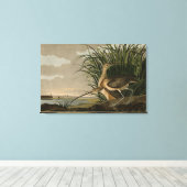 Langschnabel von Audubons Vögeln Amerikas Leinwanddruck (Insitu (Holzboden))