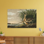 Langschnabel von Audubons Vögeln Amerikas Leinwanddruck (Insitu (Wohnzimmer))