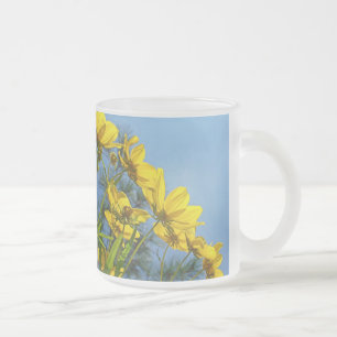 Langschnabelblume Wildblume Mattglastasse