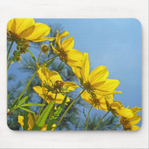 Langschnabelblume Wildblume Mousepad