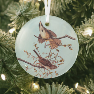 Langschnauzige Audubon-Vögel mit Tiny Spider Ornament Aus Glas